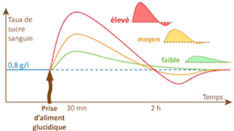 graphique taux de sucre sanguin dnas le temps